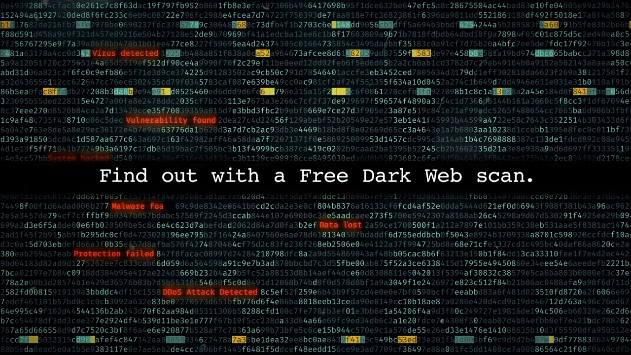 Darknet Markets Reddit Links