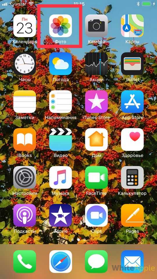 Приложение для фотографий. Как выключить лайв фото на айфоне. Как отключить Live photo на айфоне. Как убрать Live фото в iphone.